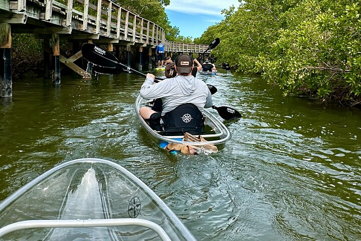 Clear Kayak Ecotour at Robinson Preserve in Bradenton, Florida - Photo 1 of 25